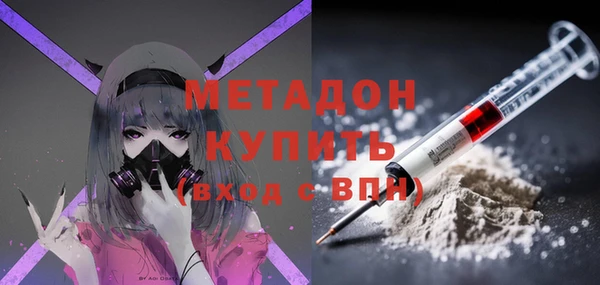 стаф Алексин