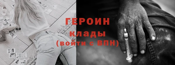 стаф Алексин