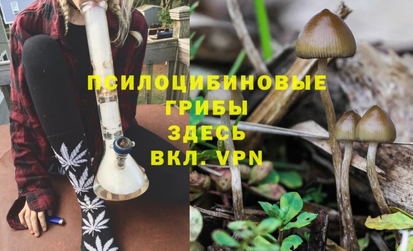 круглые Алексеевка