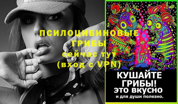 стаф Алексин