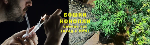 гашик Корсаков
