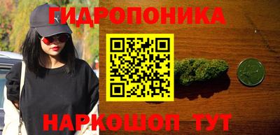 гашик Пенза