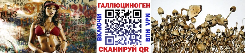 Псилоцибиновые грибы мицелий  Череповец 