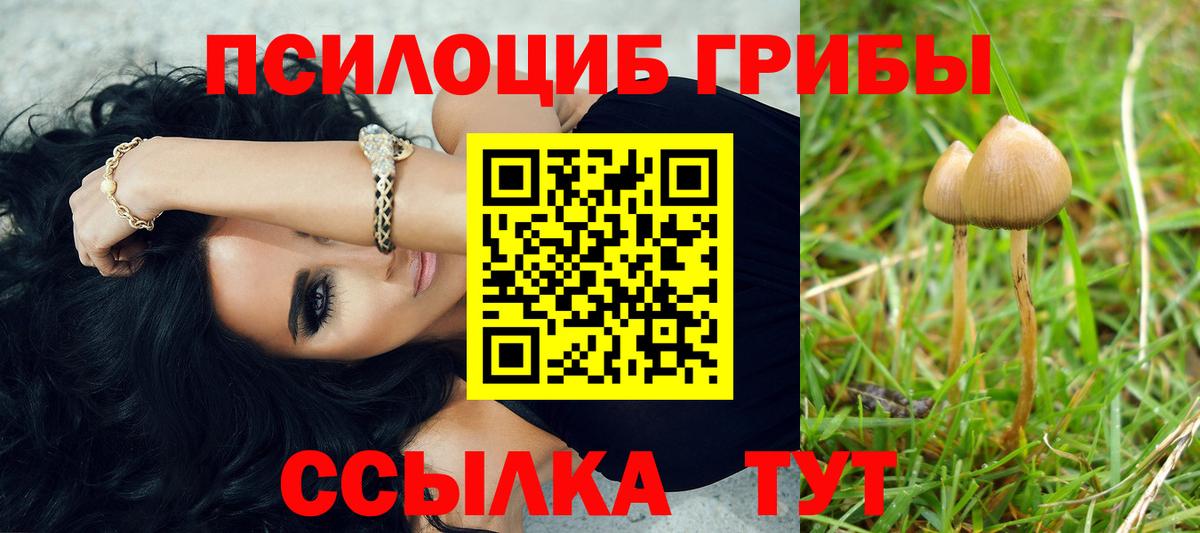 Галлюциногенные грибы мухоморы Череповец